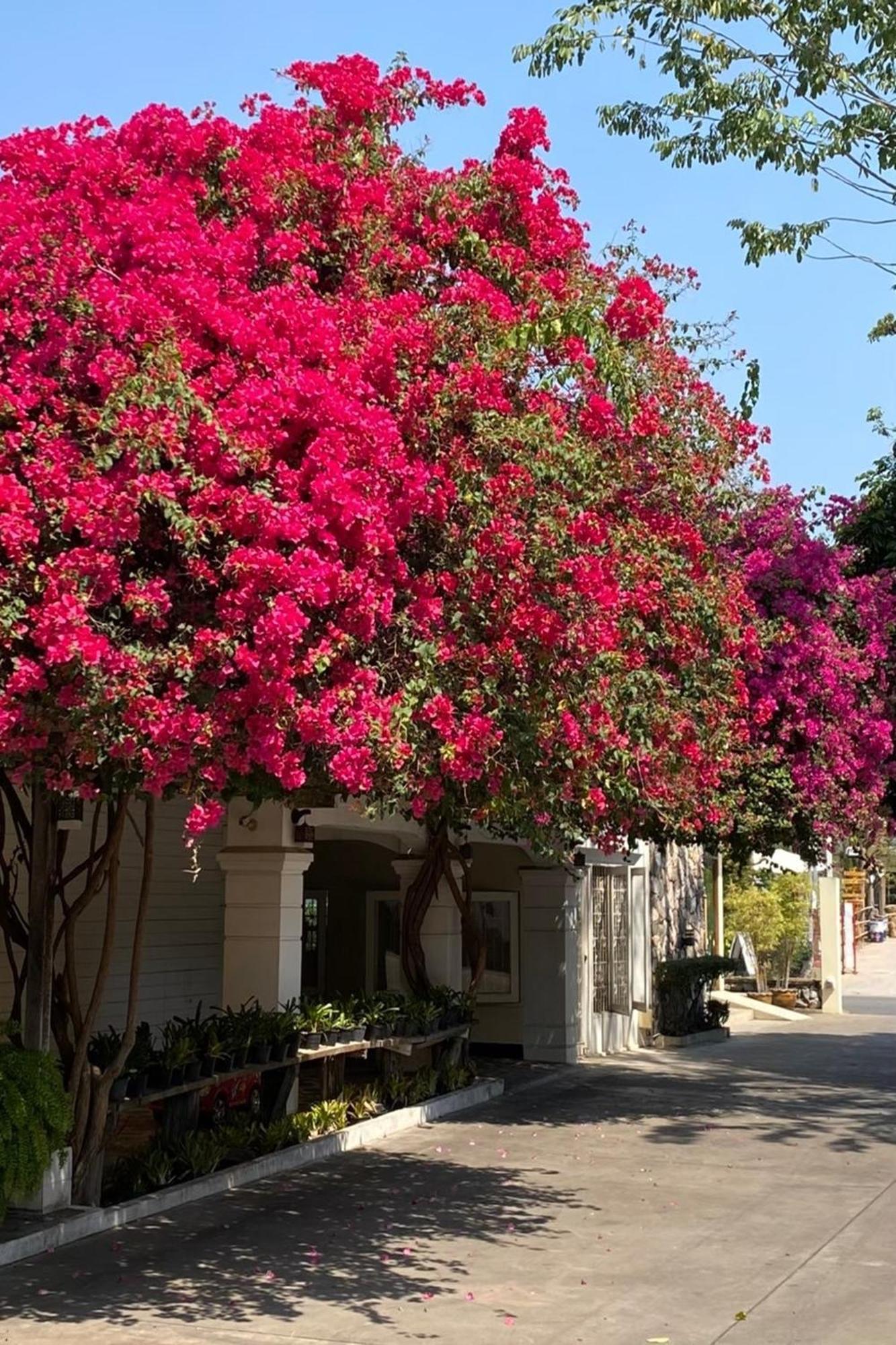 Delio Boutique Hotel Ούντον Τάνι Εξωτερικό φωτογραφία